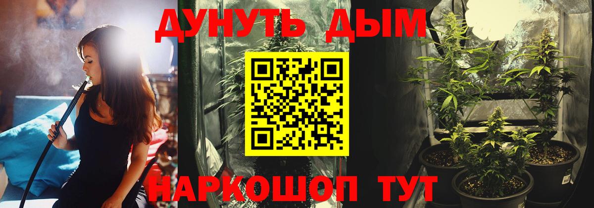 Конопля LSD WEED  Шишки марихуана планчик  Вход с VPN  Марихуана Ganja  Серов 